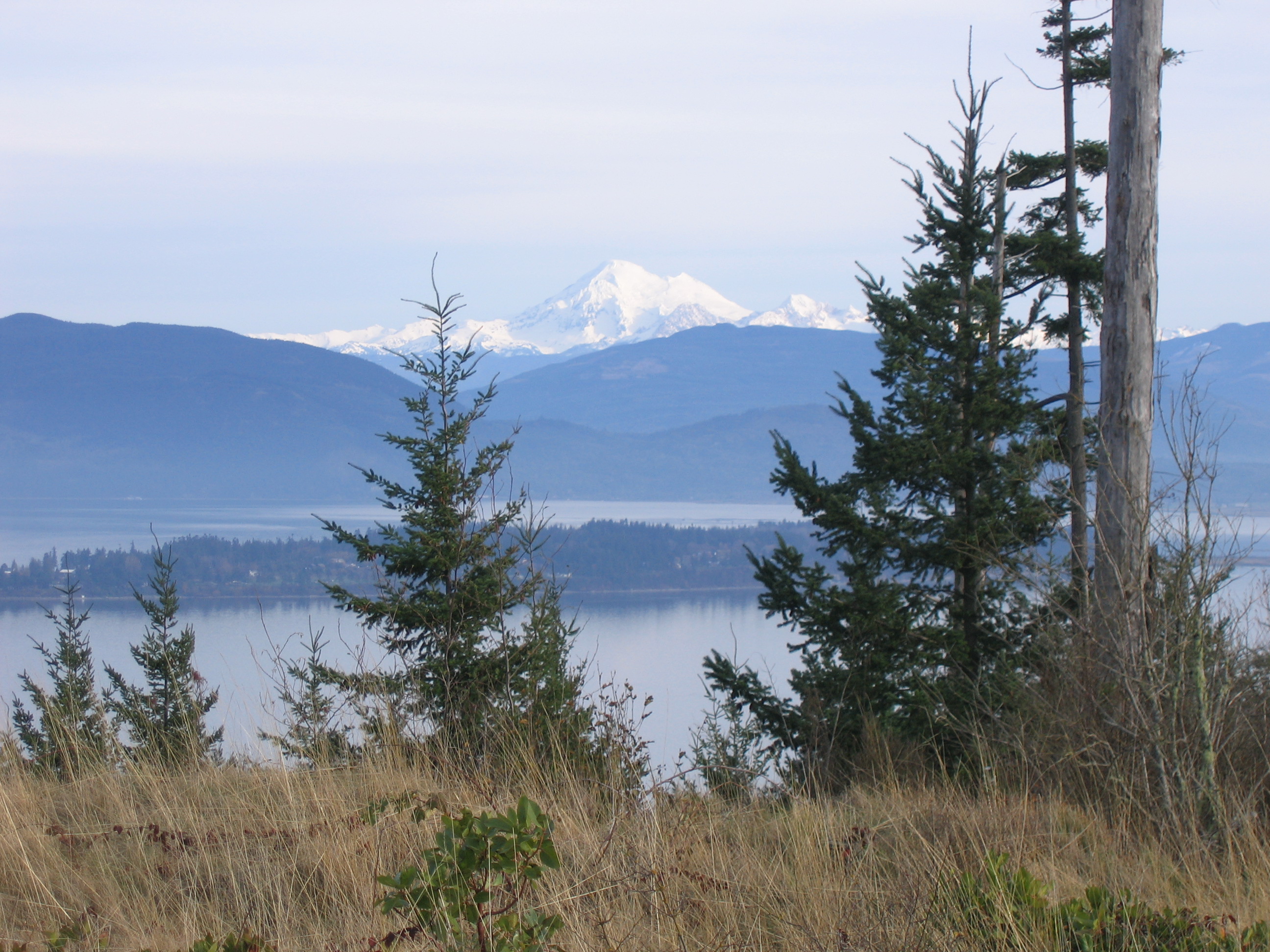 Guemes Mountain & Valley Property Skagit Land Trust